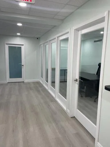 1 Lite Clear Door