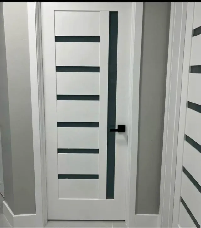7 Lite Frosted Glass Door